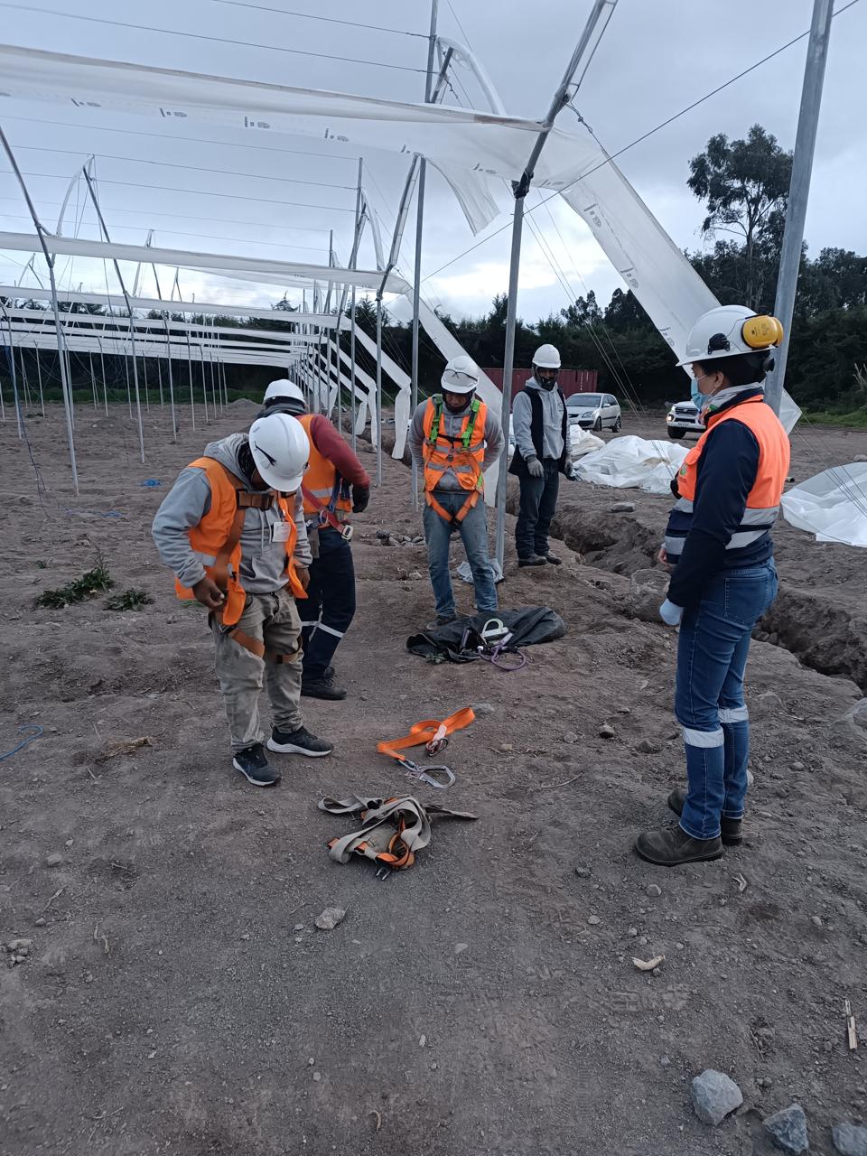 Personal técnico