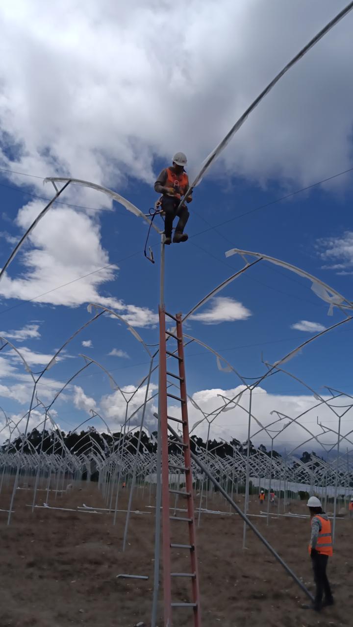 Invernaderos tecnificados