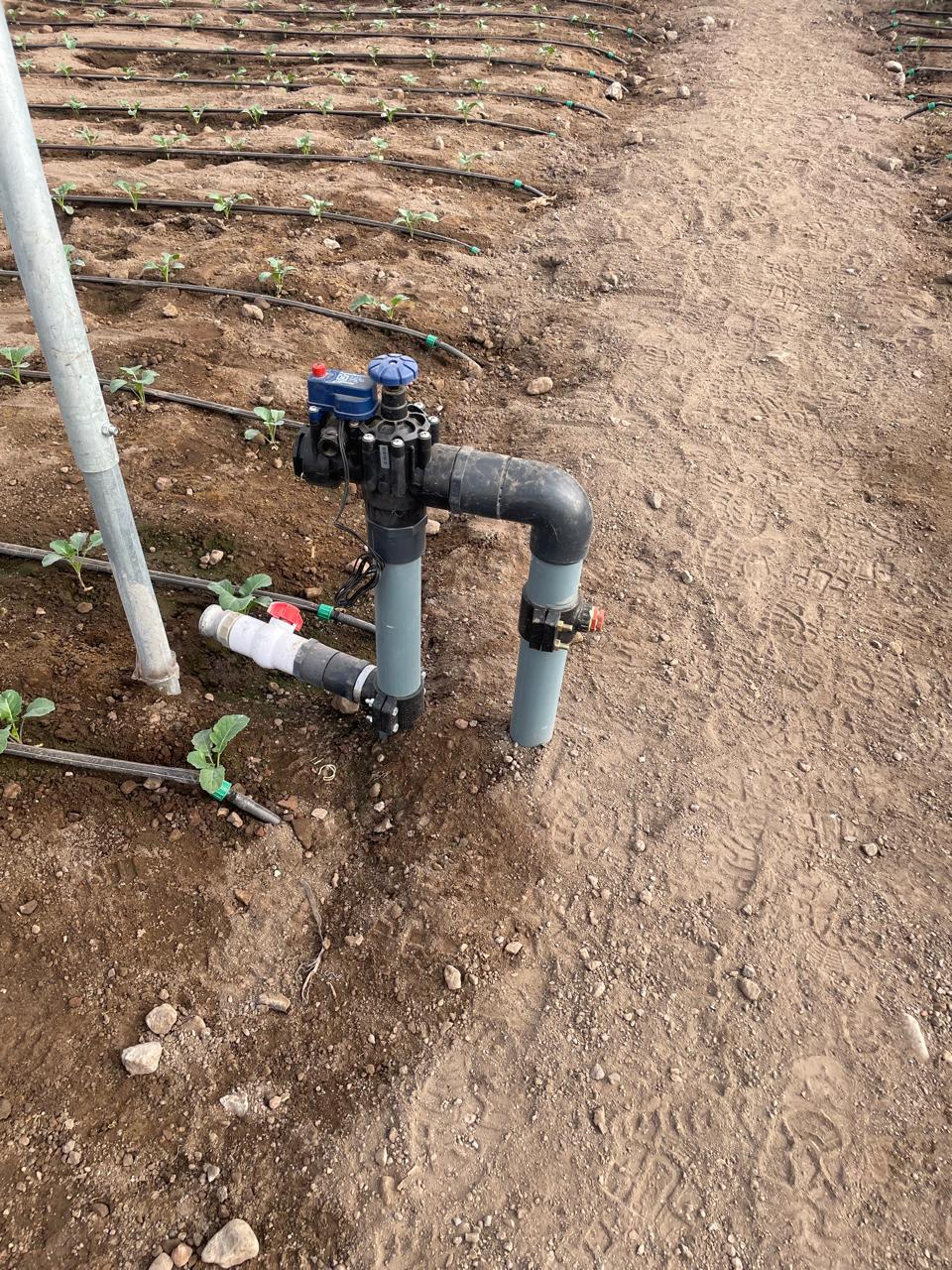 Sistema de riego instalado